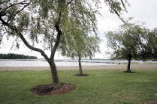 Juanita Beach Park’s swimming area was closed earlier this month becuse of high fecal coliform levels.