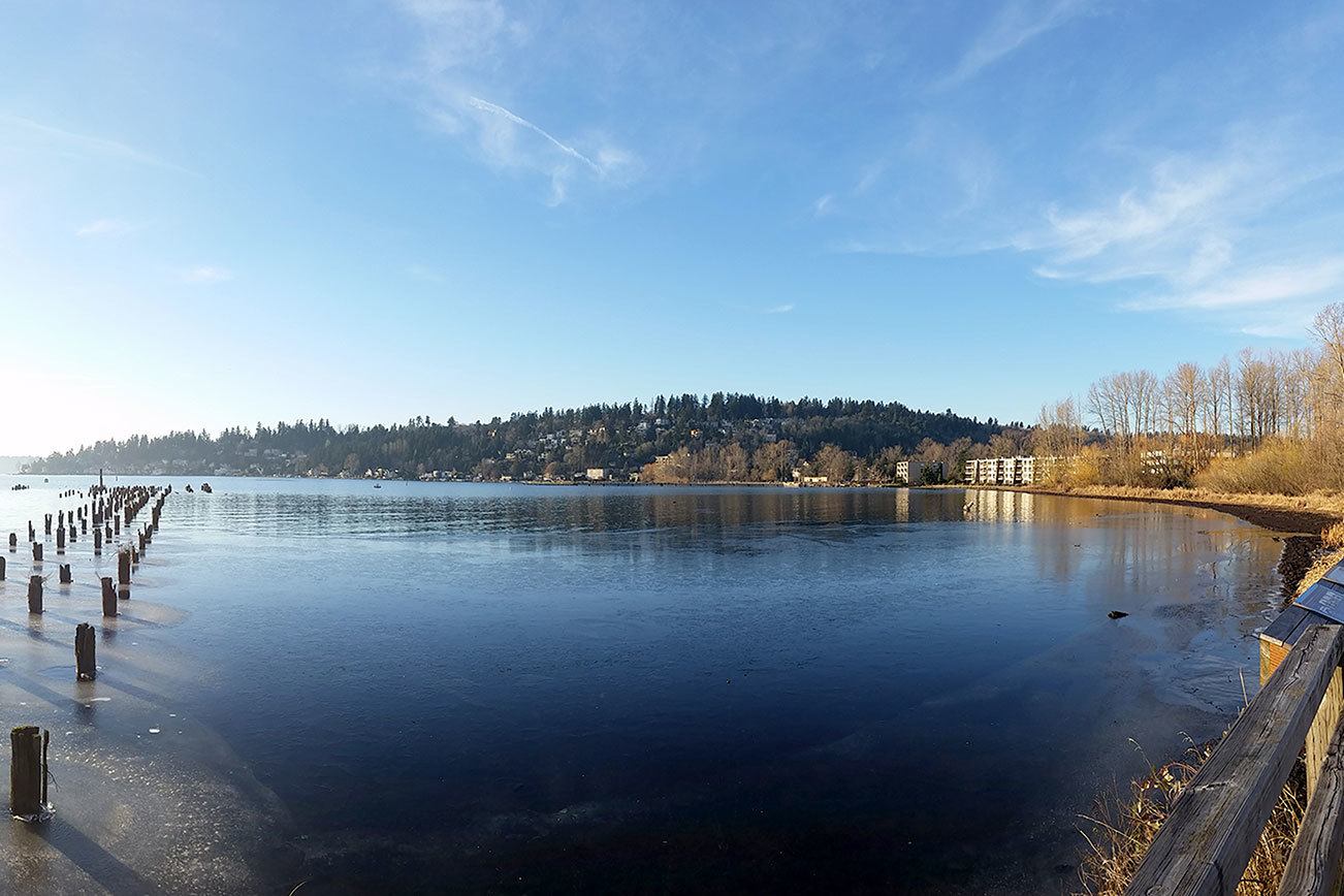 Ice builds up along the edges of Juanita Bay on Saturday, Jan. 14. The ice didn’t deter the birdwatchers, many of which caught glimpses of a bald eagle as it searched for food in the cold, January sunshine. JOHN WILLIAM HOWARD/Kirkland Reporter