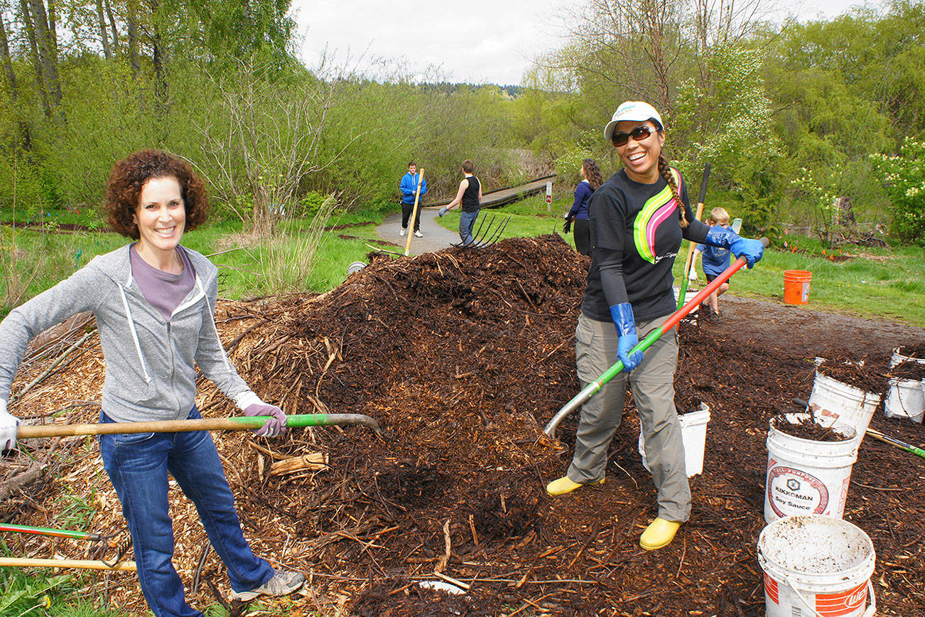 Green Kirkland Partnership volunteers spread mulch at Juanita Bay Park. Contributed photo