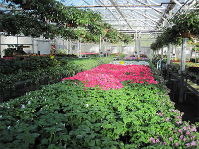 LWTech Spring Plant Sale returns April 28-29, May 5-6