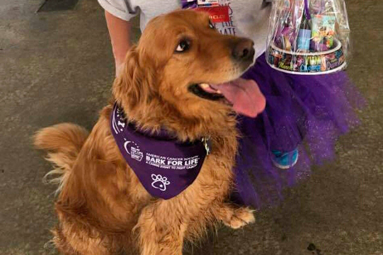 Kirkland Relay for Life changes include new venue and Bark for Life