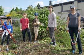 Volunteers are needed to remove invasive plants along the Cross Kirkland Corridor on June 17. Courtesy photo