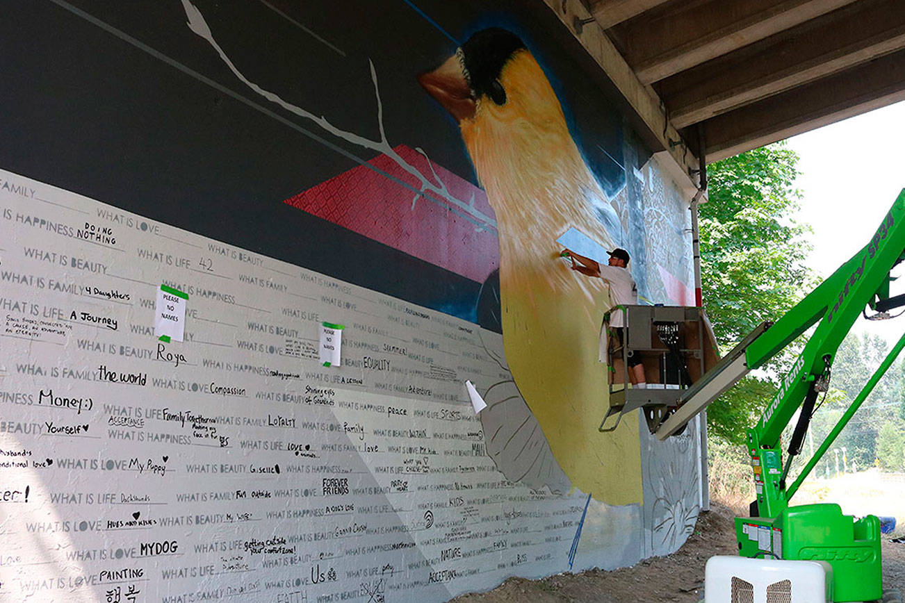 Artist creates crowd-sourced mural