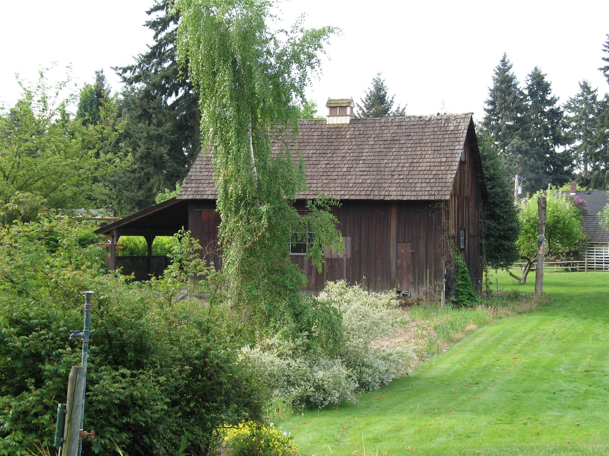 McAuliffe Park is located at 10824 NE 116th St. in Kirkland. Photo courtesy of the city of Kirkland