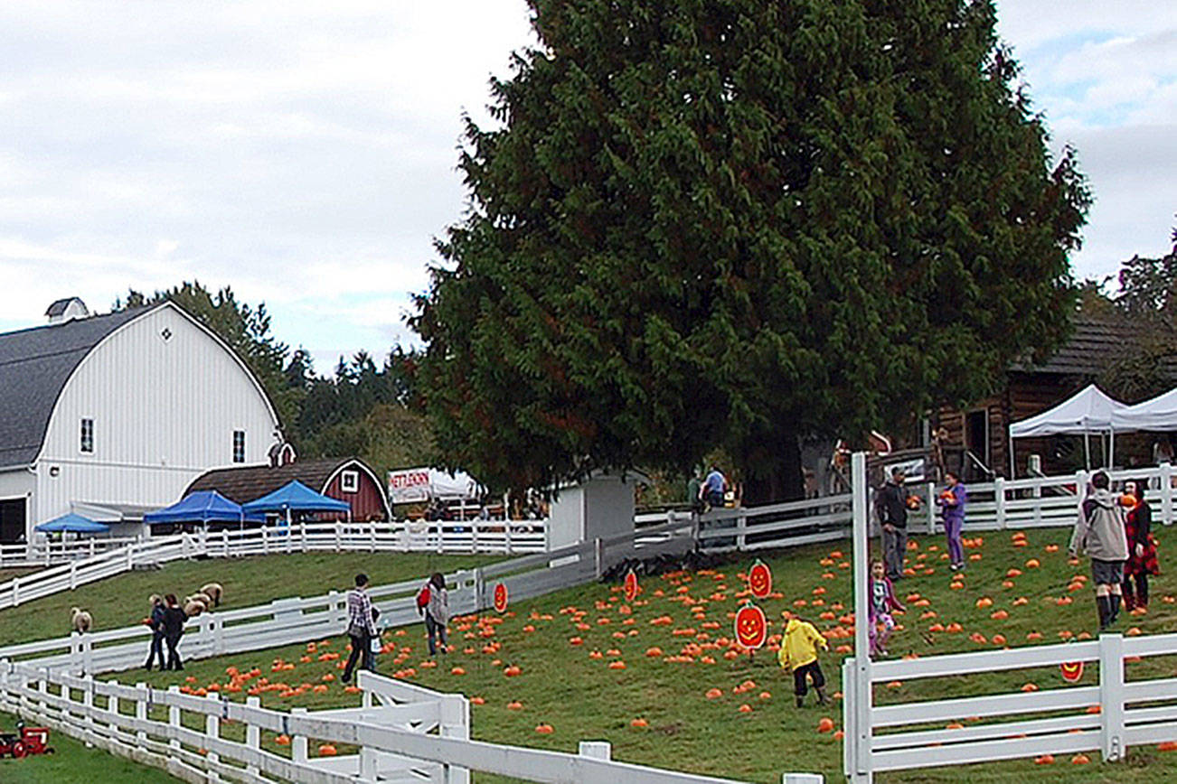 Kelsey Creek Farm Fair features tractors, pumpkins and live music this