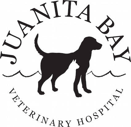 Juanita Bay Veterinary welcomes Johnson as full-time veterinarian