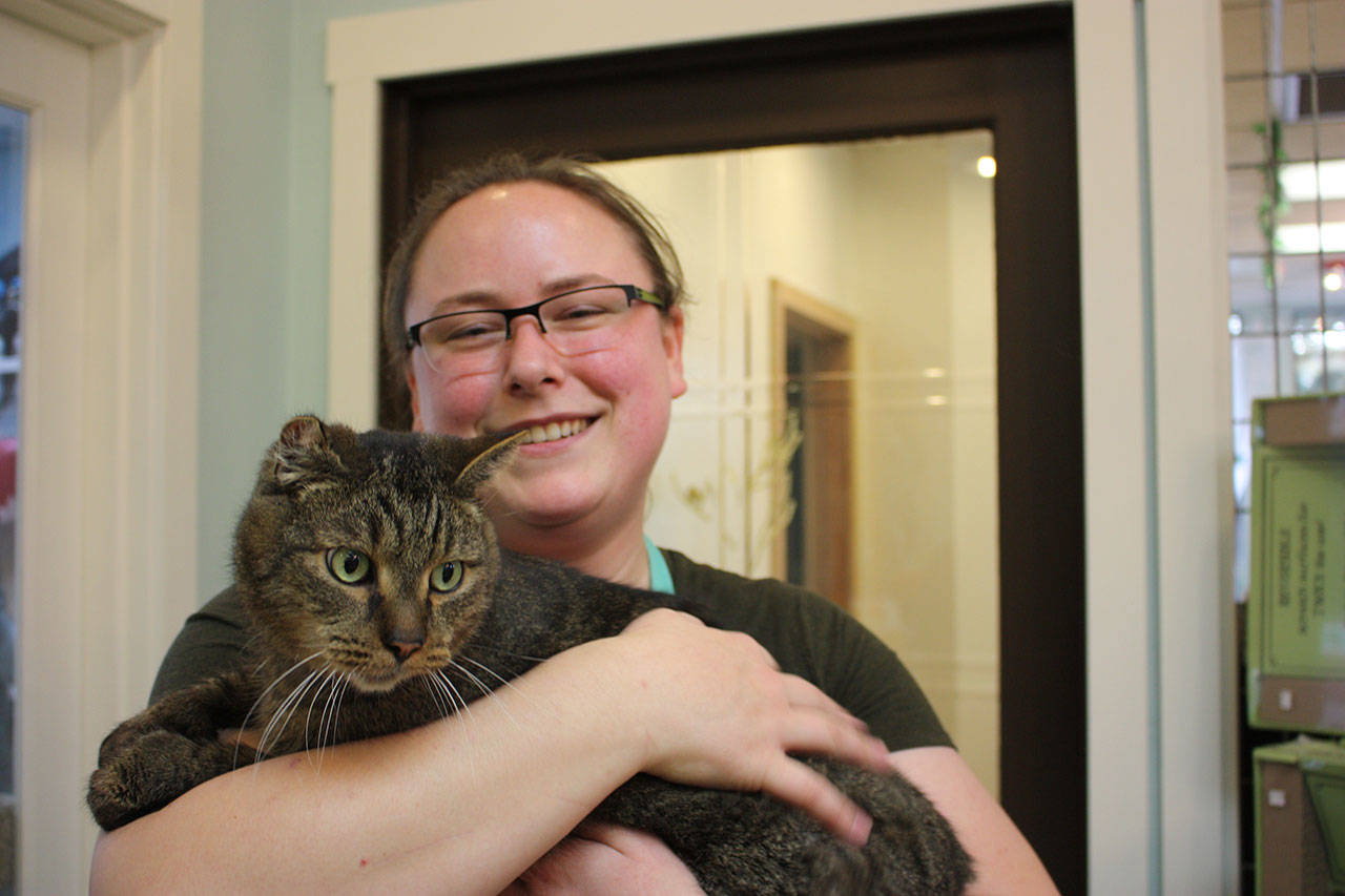 Jessica Hagemeier, The Whole Cat and Kaboodle Redmond manager, holds one of their cats at the shop and cafe on Thursday. Aaron Kunkler, Reporter Newspapers