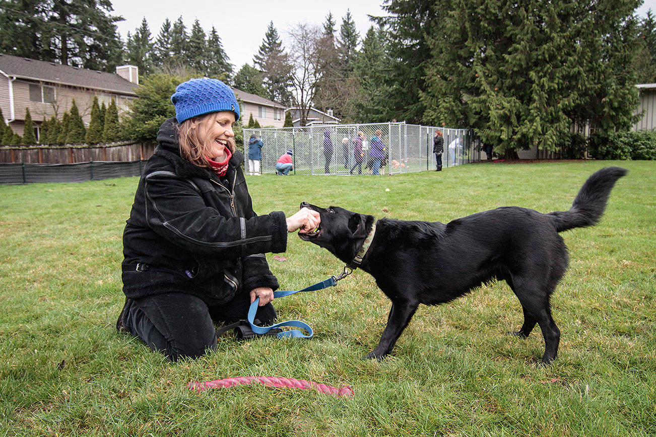A woman and her dog play near the new fenced area for Lake Washington United Methodist Church’s Safe Parking program. Brian Grubb, Fences For Fido