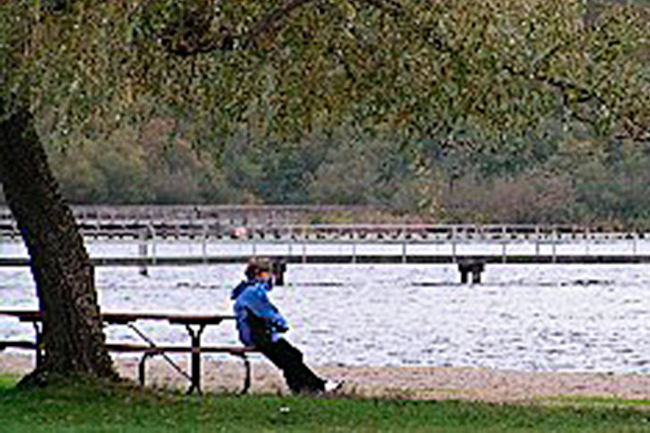 Coliform bacteria found in Lake Washington at Juanita Park