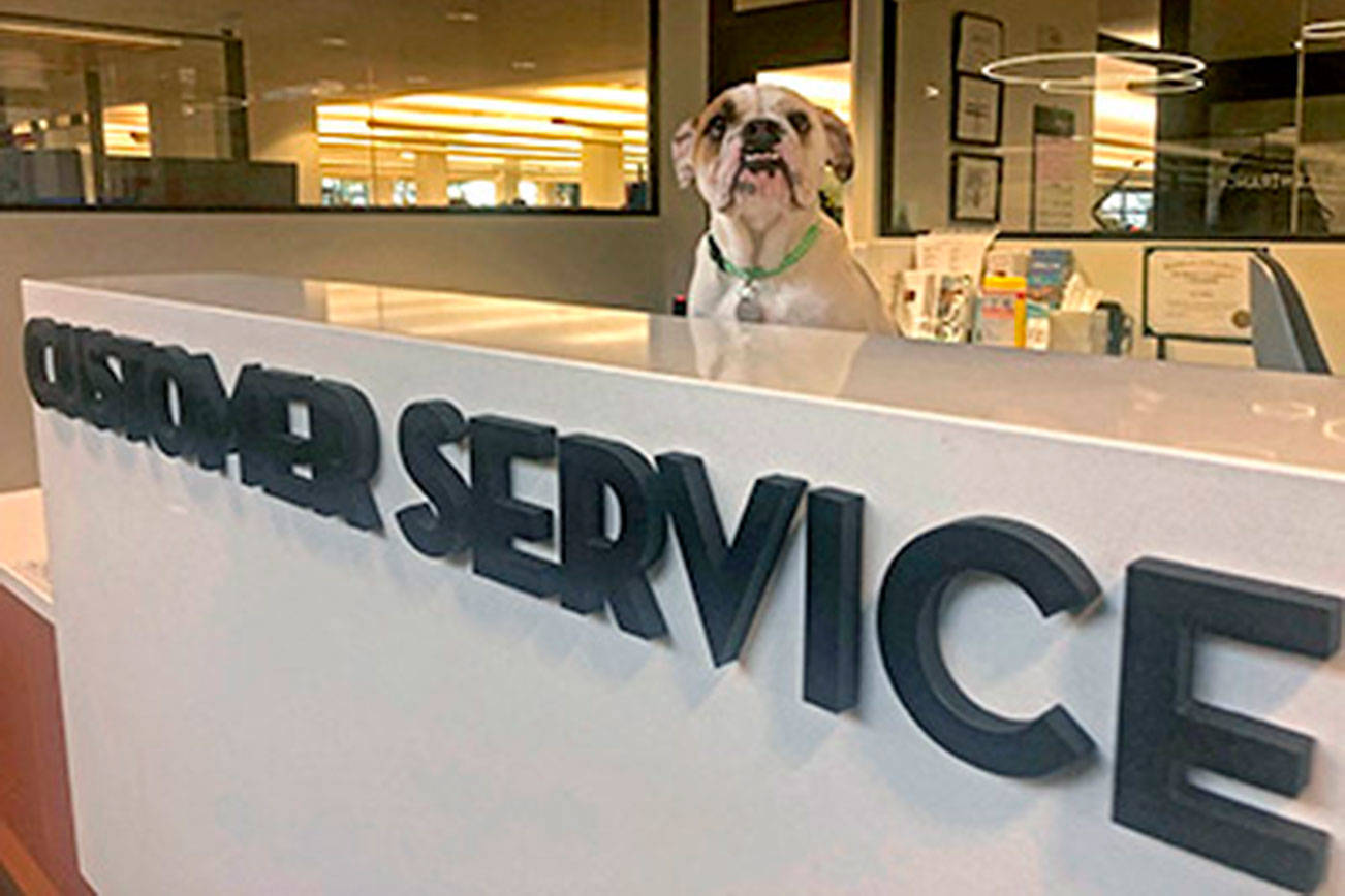 A photo of Kirkland Police’s customer service desk that was used to initially promote the animal services program. Photo courtesy of the city of Kirkland