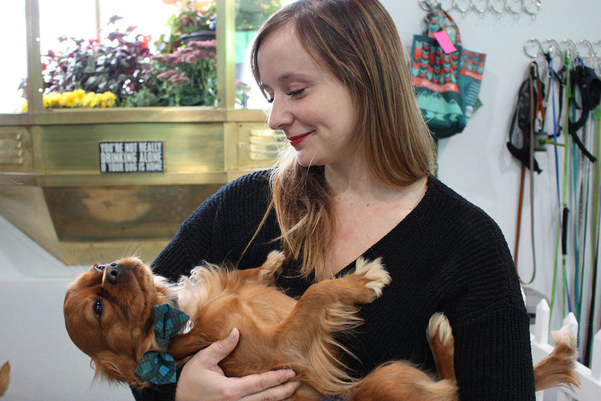 Pickles Playland barks into Kirkland Kirkland Reporter