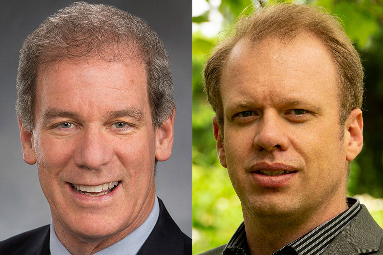 Goodman, Curtis vie for 45th district House seat