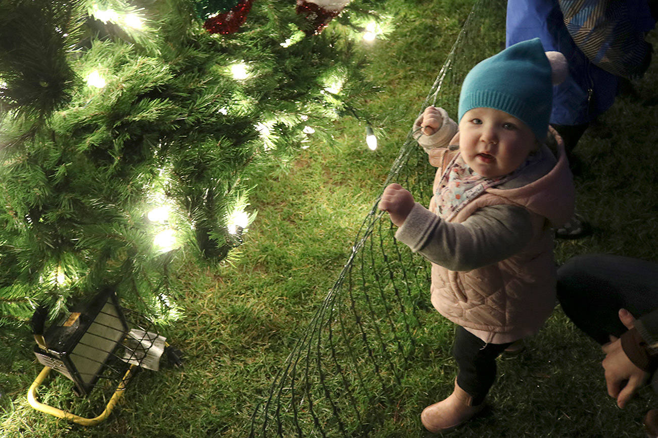 Kirkland lights holiday tree at Winterfest