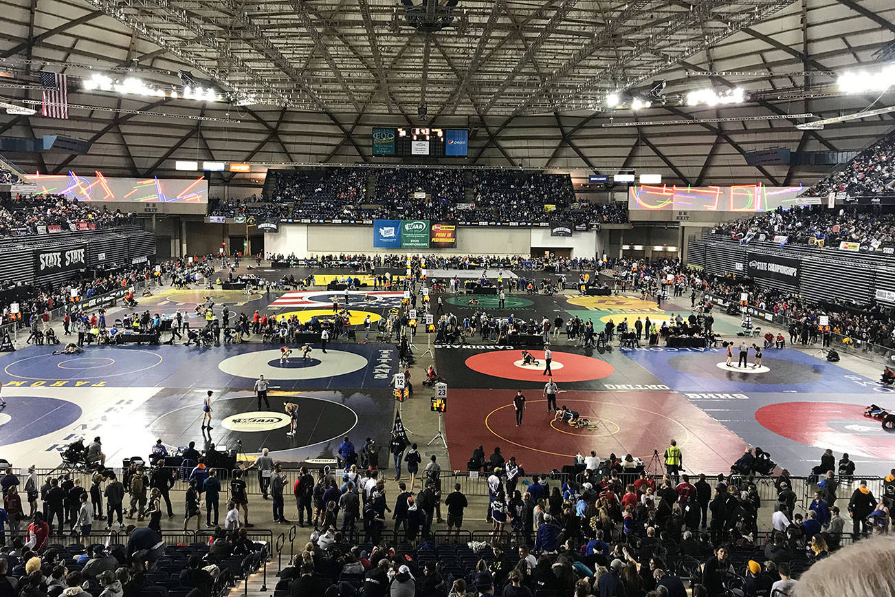 A view from the bleachers at the Mat Classic state wrestling tournament on Feb. 15, 2019. Shaun Scott, staff photo