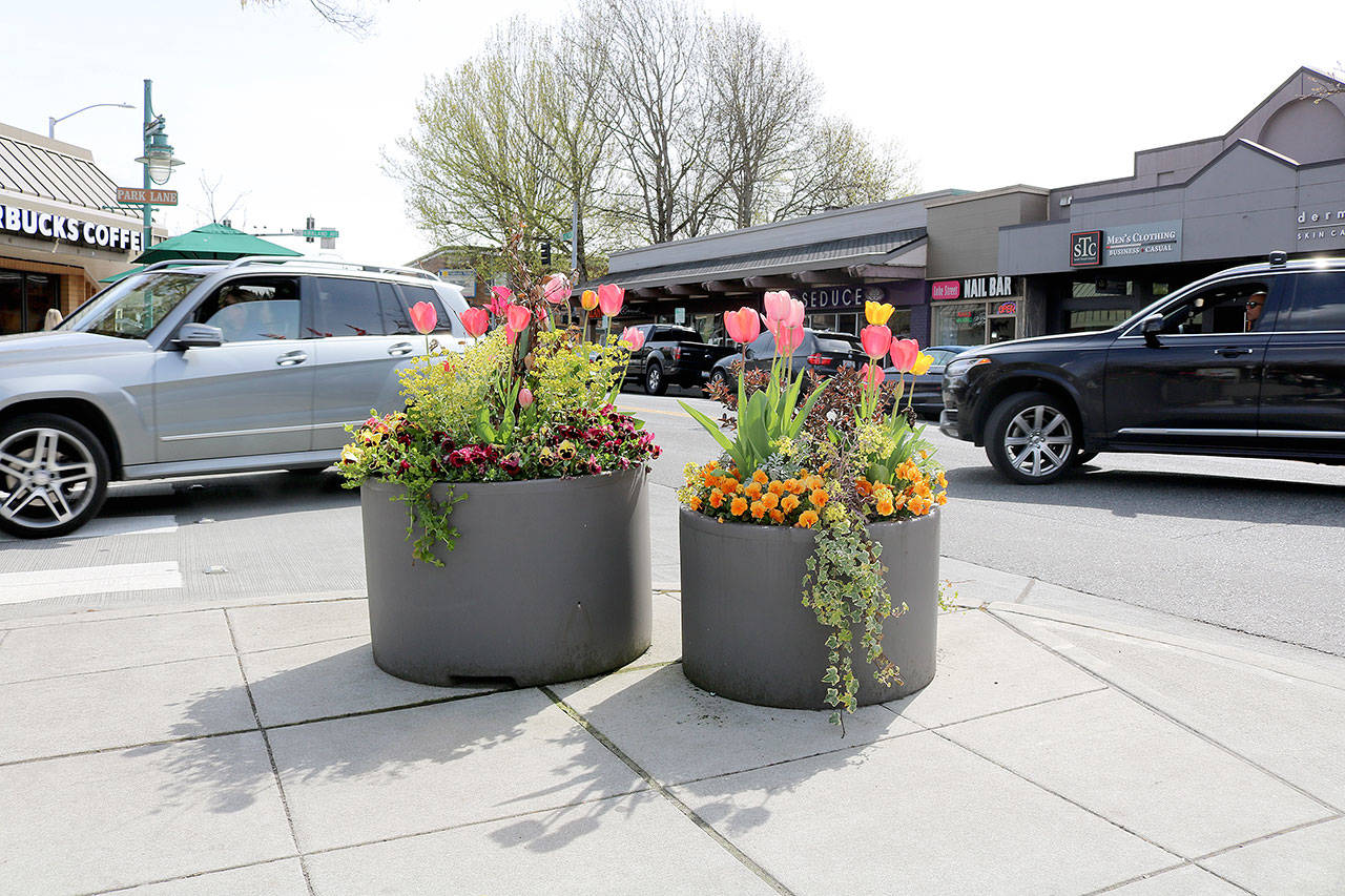 The Kirkland Downtown Association is once again looking for 40 individuals, families, or businesses that will adopt a flowerpot in downtown Kirkland through their Flower Pot sponsorship program. Each pot os $250 and includes a personalized plaque.