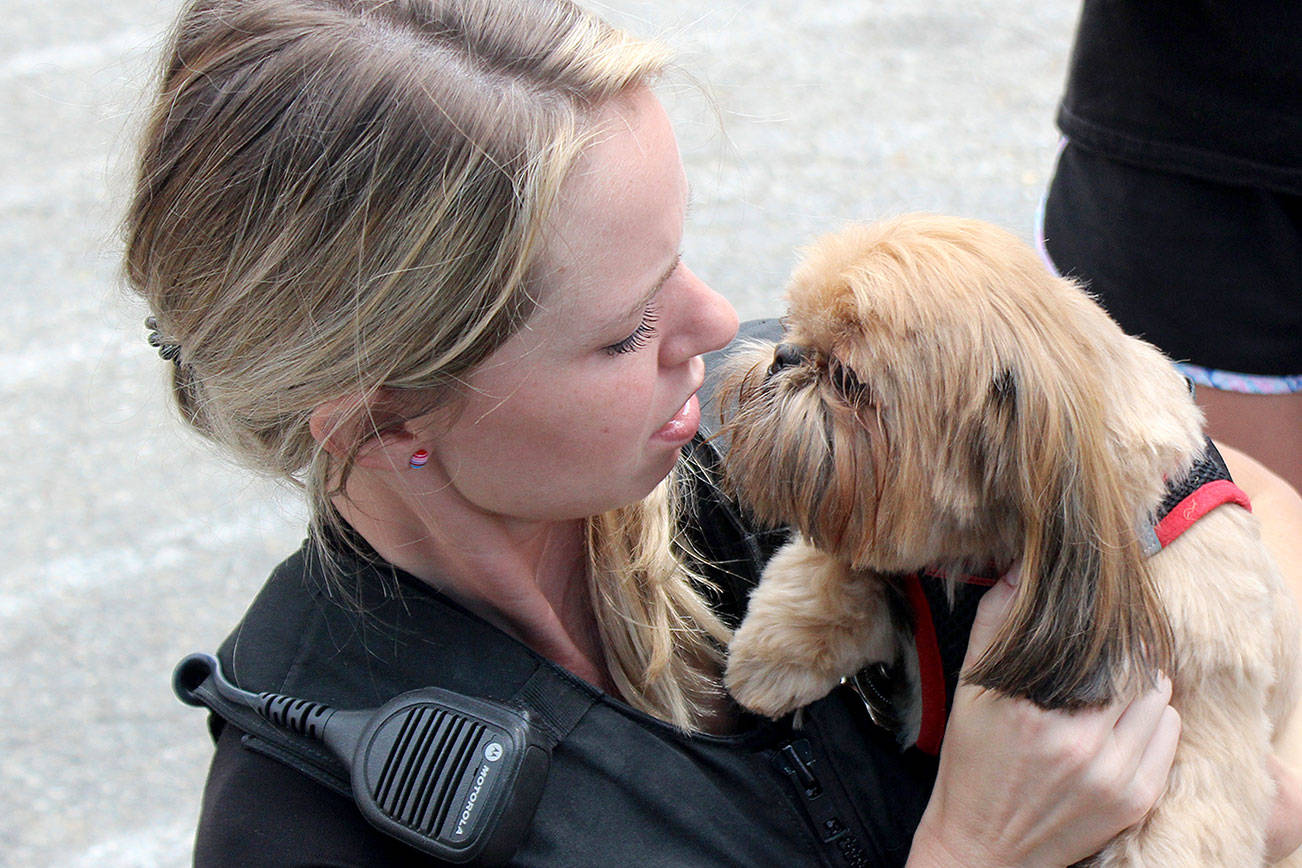 The Pet-A-Palooza Roadshow stops by Juanita Beach Park