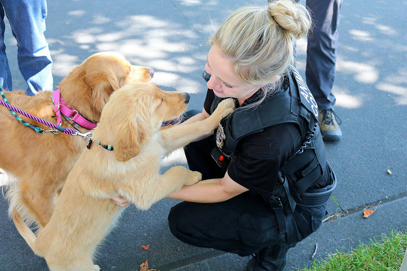 Animal Control officer Jennifer Matison with some community pets at a recent event. Photo courtesy city of Kirkland