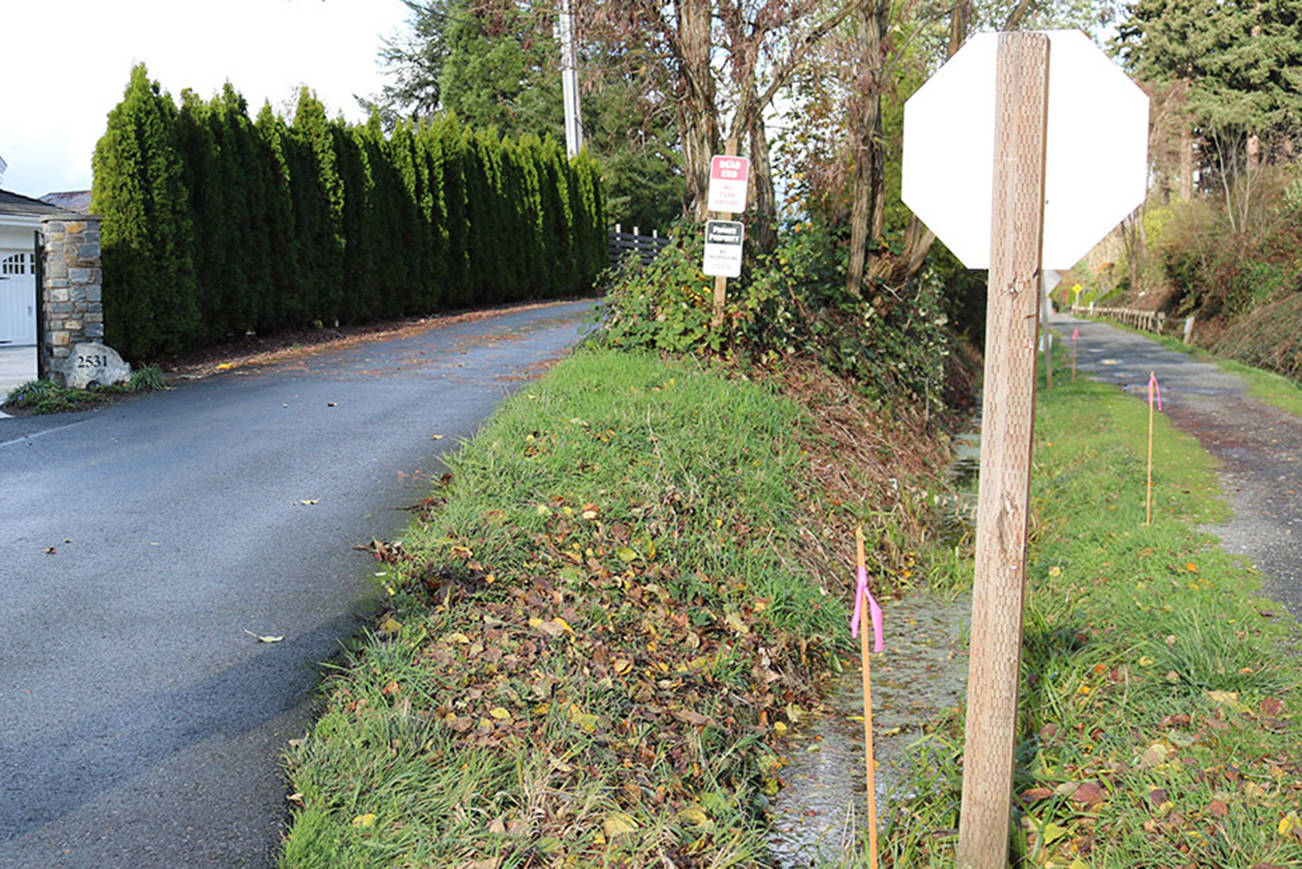 Development has encroached on the East Lake Sammamish Trail (at right). Joe Livarchik/file photo