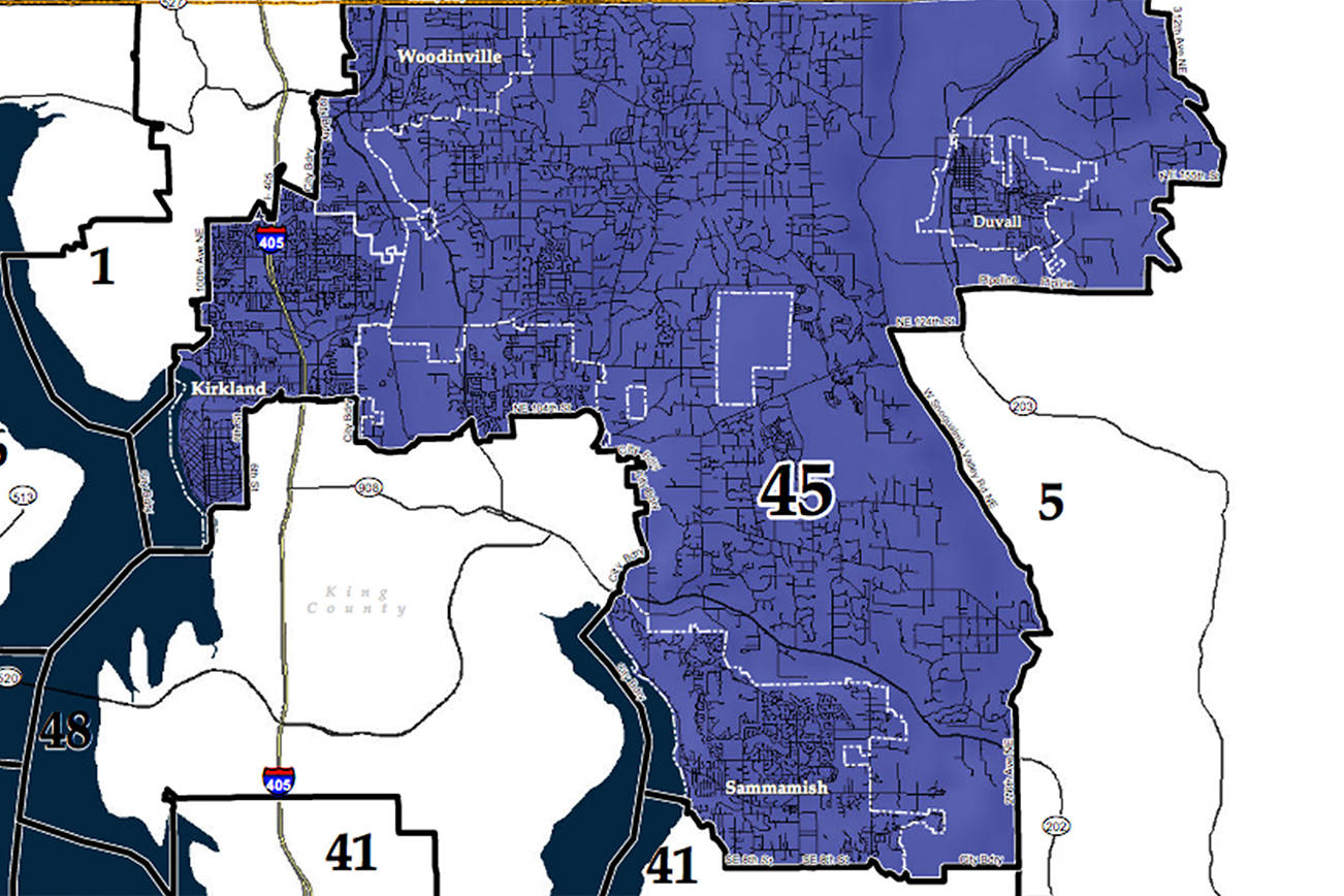 Map of 45th Legislative District.