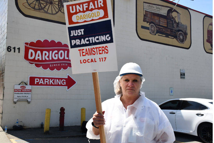 A Darigold dairy worker practices picketing as a strike is approved by the union. Photo courtesy of Julia Issa