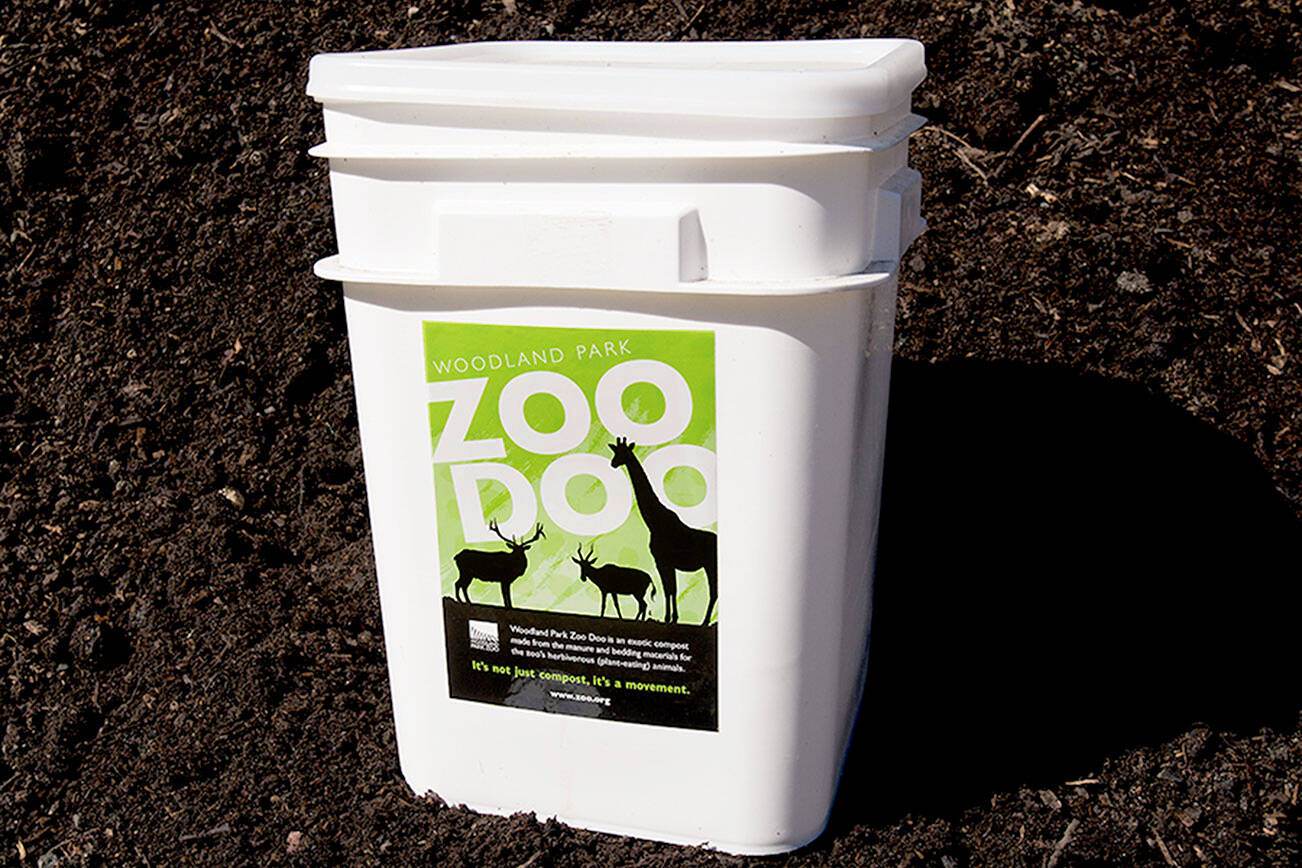 A bucket of Zoo Doo compost at Woodland Park Zoo in 2016. (Andy Bronson / Herald file)