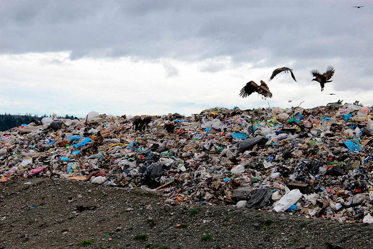 Cedar Hills Regional Landfill. File photo