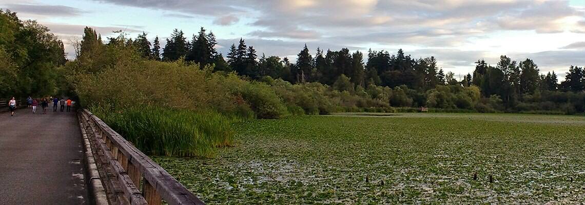 Juanita Bay Park. Courtesy of the city of Kirkland.