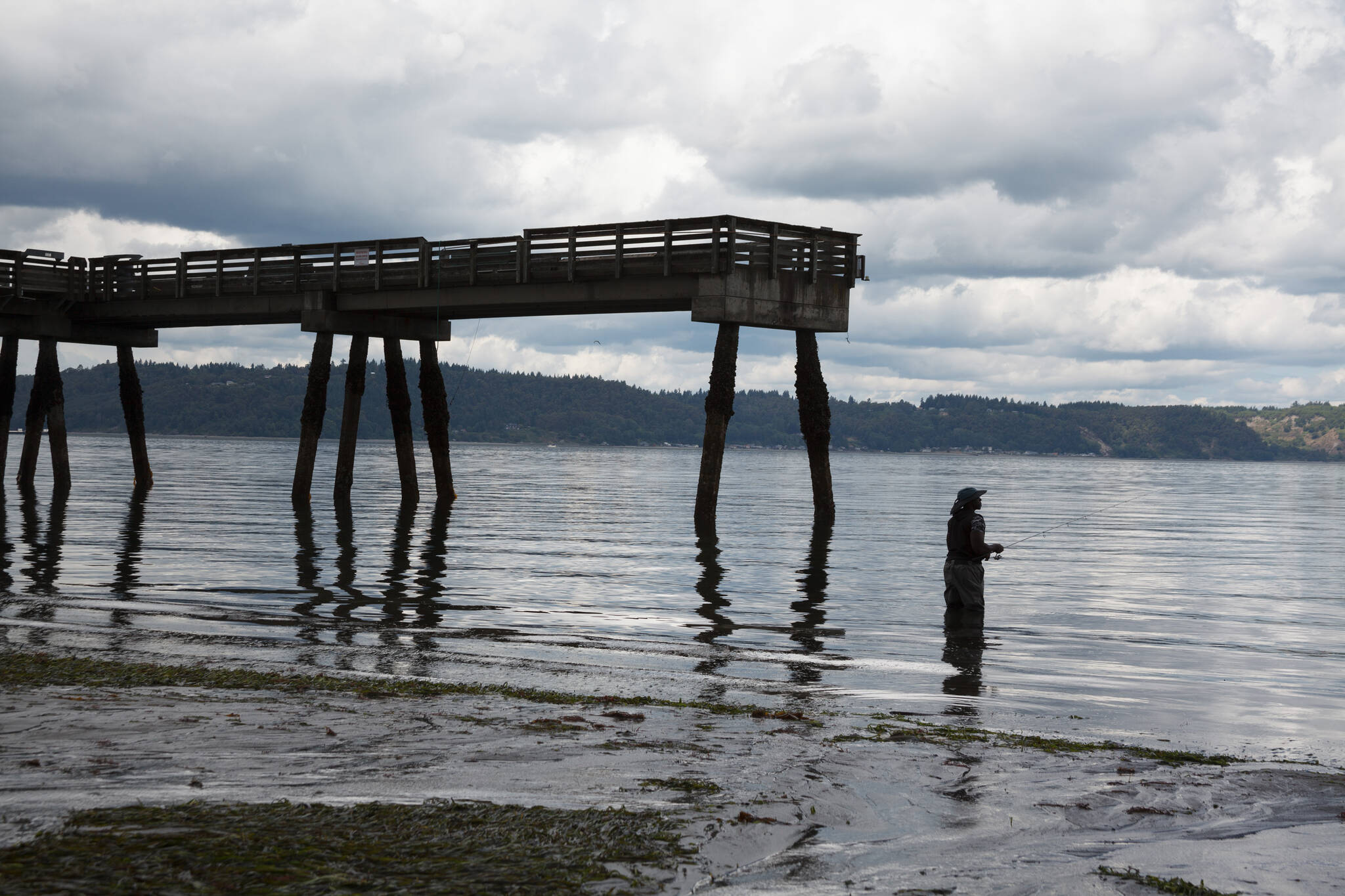 At Dash Point on June 16, 2022. Henry Stewart-Wood/Sound Publishing