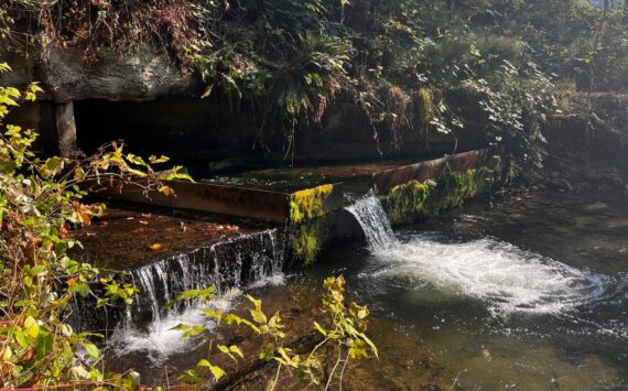 Fish culvert in Issaquah. (Cameron Sheppard/Sound Publishing)