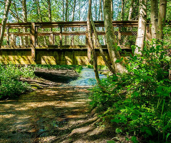 Dash Point State Park. Washington State Parks photo