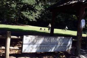 Kirklanders Hunny Muon