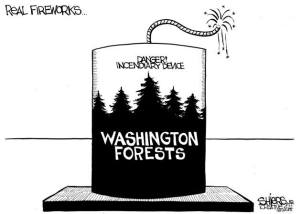 Real fireworks: Danger! Incendiary Device | Cartoon for June 22