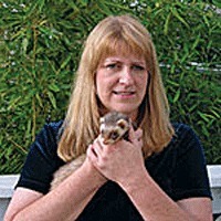 Cathy A. Johnson-Delaney