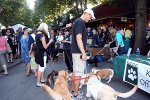 Dog enthusiasts flock to Park Lane Thursday to vote for their favorite '100 Hounds of Kirkland.'