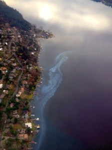 An Algae bloom in Lake Washington is raising concerns for King County health officials.