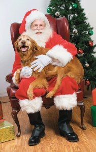 Bring your furry friends for photos with Santa by the fireplace during the Santa Paws event at The Woodmark Hotel on Saturday.