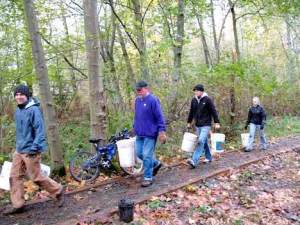 Green Kirkland Partnership work to restore Cotton Hill Park recently during the last event of the year.
