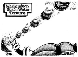 Washington state water torture | Cartoon for May 31