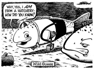 Wild Guess