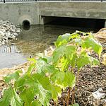 The City of Kirkland currently has 17 capitol projects underway. Contributed photo