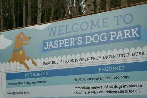 The Kirkland Dog Off-Leash Group needs volunteers for a work party at Jasper’s Dog Park at 8 a.m. on Saturday