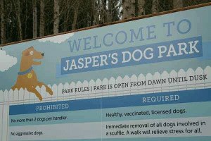 Jasper’s Dog Park