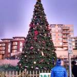 A Christmas tree is on display at a previous Winterfest. This year&rsquo;s event is scheduled for 3:30 to 6 p.m. Nov. 25 at Peter Kirk Park. Submitted photo