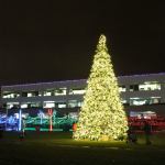 Holiday decorations go on display Dec. 2 on the Cross Kirkland Corridor as part of the Google Lights event. Contributed photo