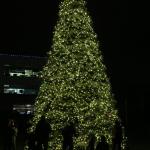 Holiday decorations go on display Dec. 2 on the Cross Kirkland Corridor as part of the Google Lights event. Contributed photo