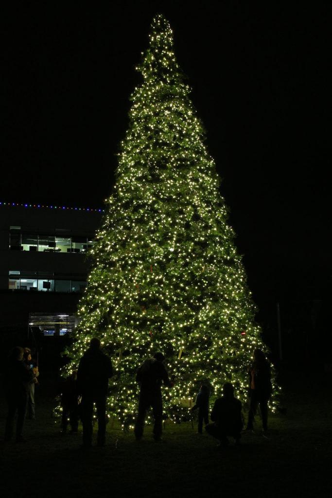 Holiday decorations go on display Dec. 2 on the Cross Kirkland Corridor as part of the Google Lights event. Contributed photo