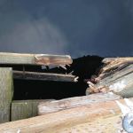 A boat damaged the pier at Marina Park on Dec. 14. CITY OF KIRKLAND/Courtesy photo