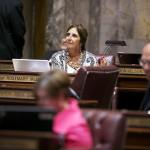 Sen. Rosemary McAuliffe participates in the 2013 second special session of the Washington State Senate. Contributed photo