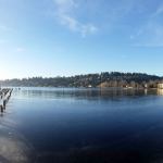 Ice builds up along the edges of Juanita Bay on Saturday, Jan. 14. The ice didn&rsquo;t deter the birdwatchers, many of which caught glimpses of a bald eagle as it searched for food in the cold, January sunshine. JOHN WILLIAM HOWARD/Kirkland Reporter