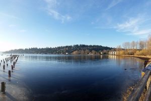 Ice builds up along the edges of Juanita Bay on Saturday, Jan. 14. The ice didn&rsquo;t deter the birdwatchers, many of which caught glimpses of a bald eagle as it searched for food in the cold, January sunshine. JOHN WILLIAM HOWARD/Kirkland Reporter